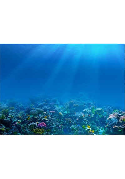 Kanki Pet KP8550009 Akvaryum Arka Fon Yapıştırma 85 CM
