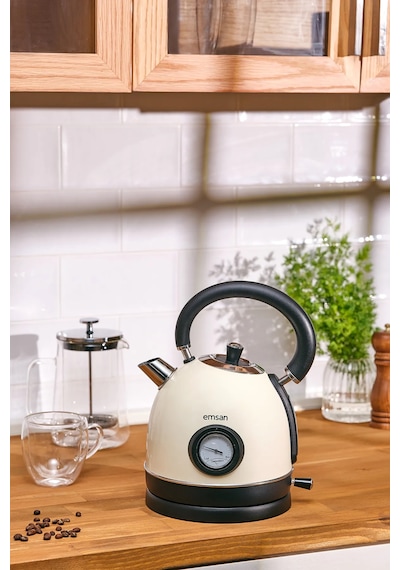 Emsan Turtle Kettle Cream