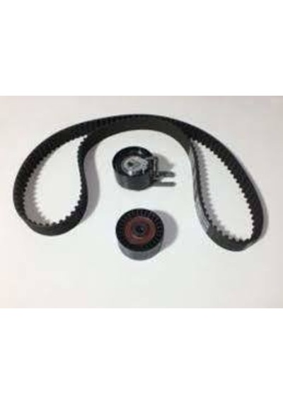 TRIGER SET-0831.V4-1.6 HDİ.DV61ED-PEUGEOT-CITROEN