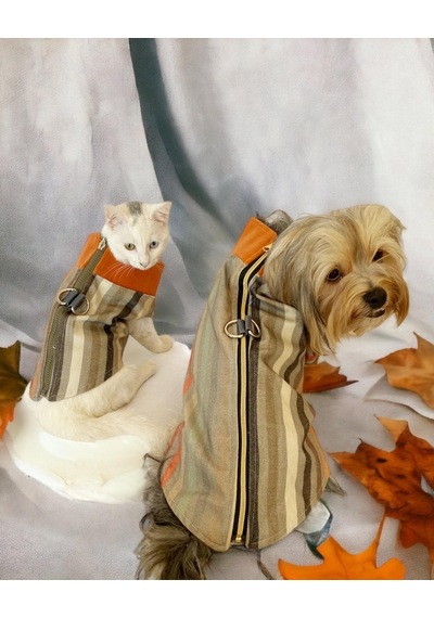 Kemique Stripe Orange Su İtici Köpek Yağmurluğu