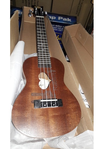 Concert Boy Maun Ağacı Rabbit Ukulele-Kılıf-Pena