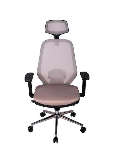Ofisbazaar Dali Fileli Yönetici Koltuğu Ergonomik Başlıklı Ofis Koltuğu Gri Gri