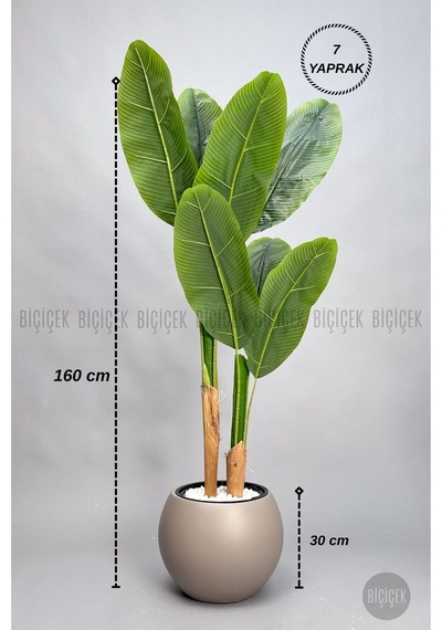 Biçiçek Yapay Starli̇ce 160 Cm 7 Yapraklı Mocha Küre Saksıda