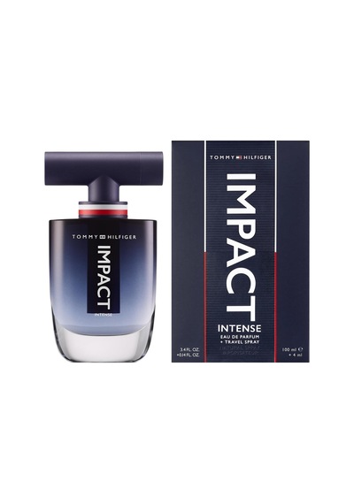 Intense Edp 100 Ml Erkek Parfüm, 5002694195 Diğer