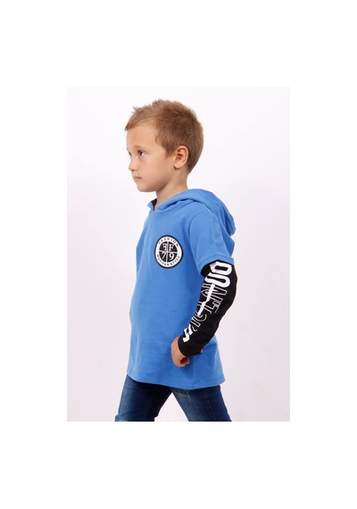 Toontoy Kids Toontoy Erkek Çocuk Kapşonlu Kolları Baskılı Sweatshirt Saks