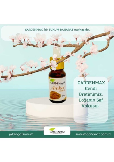 Buhurdanlık Esansı Amber