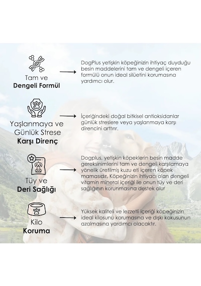 DogPlus Düşük Tahıllı Hipoalerjenik Kuzu Etli Pirinçli Yüksek Enerjili Yetişkin Köpek Maması 15 KG