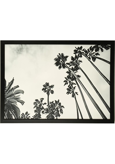 Vitale Kanvas Tablo 50 70 Cm Ak.tbl0378