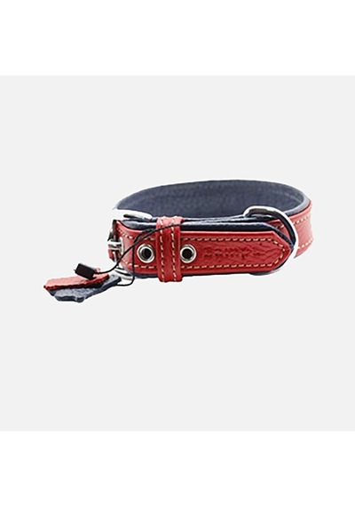 Zampa Flotter M Köpek Boyun Tasması 54 Cm