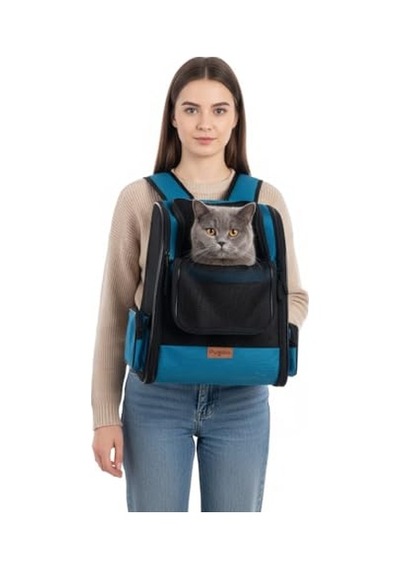 Ayrex Airmove Premium Kedi Köpek Taşıma Çantası, Silinebilir, Yırtılmaz Fileli, Bükülmez Gövde, Sırt Çantas