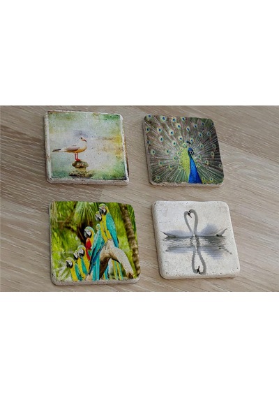 Martı Tavuskuşu Papağanlar Kuğular Doğal Taş Bardak Altlığı 4'lü Set - Natural Stone Coasters - Taş Çok Renkli