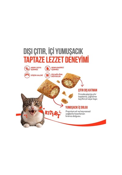 Kedi Crunch Ödül Tavuk 60g