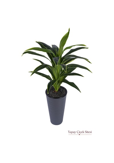 Yapay Çiçek Sitesi Dalgalı Saksıda Yapay Dracena Ağacı 130 Cm Yeşil