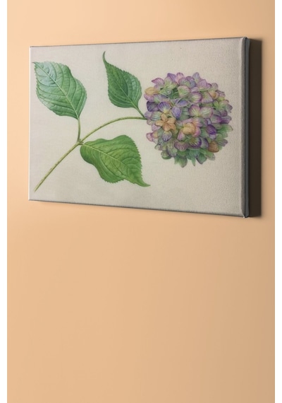 Webstyle Sayılarla Boyama Seti Kasnaklı Kelebek Çalısı 60 X 75 Cm