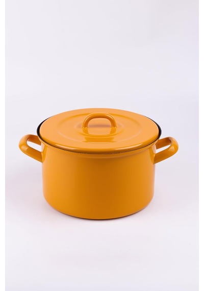Lexroo Rainpot Tencere,mustard Çok Renkli