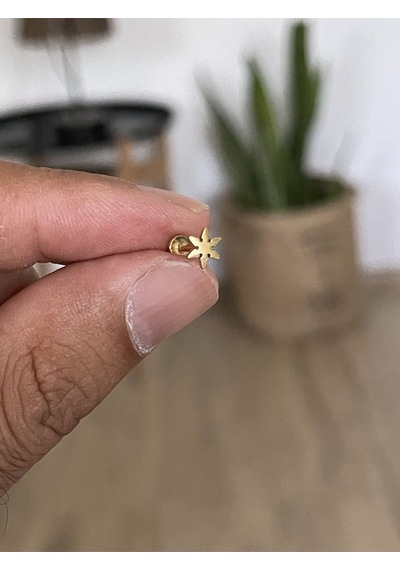 316 L Cerrahi Çelik Tragus Helix Kıkırdak Conch Minimal Yıldız Piercing Altın - Gül