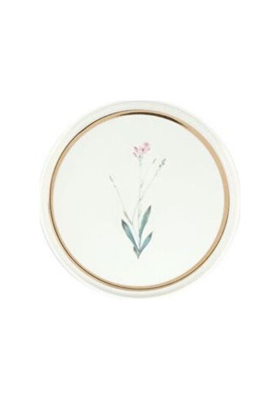 Porland Botanical 4lü Pasta Takımı 18cm Çok Renkli
