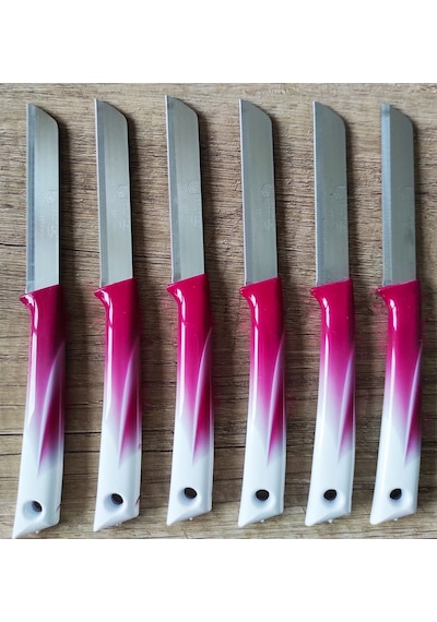 Solingen Marka Meyve Bıçağı 6'lı Set-1 - Pembe