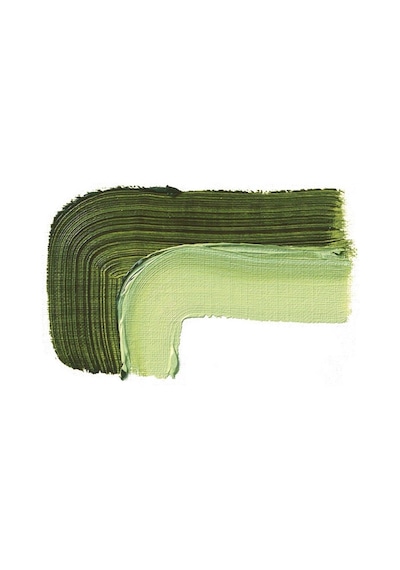 Schmincke : Akademie Yağlı Boya : 60 Ml : 506 Sap Green