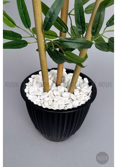 Biçiçek Bambu Ağaci 110 Cm 3 Gövdeli̇
