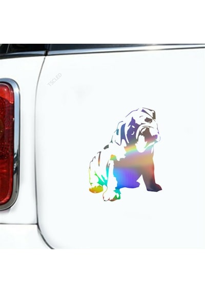 Bulldog Vinil Çıkartması Araba Sticker 1