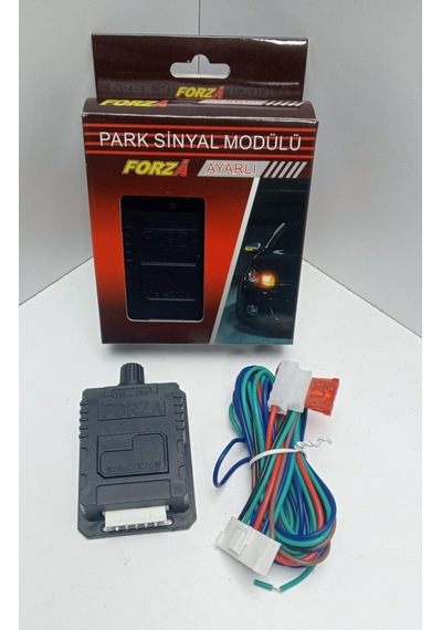 AMERİKAN PARK MODÜLÜ - AYARLI 12V (2 ÇIKIŞLI)