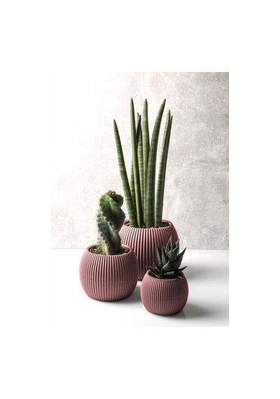 Omnipazar Krs Mercan Dekoratif Kaktüs Sukulent Plastik Saksı Takımı 3'lü Set Soft Pembe