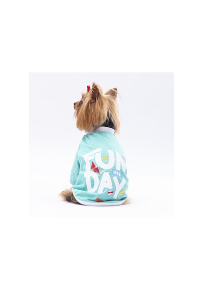 Pawstar Mint Fun Day Kedi Köpek Sweati Kıyafeti