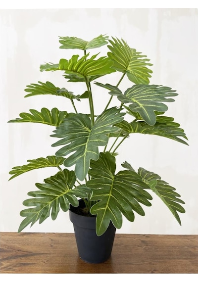 Yapay Ağaç Salon Bitkisi Syngonium 70 Cm 18 Yaprak Antrasit Saksı