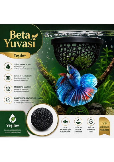 Beta Balığı Siyah Betta Dinlenme Alanı & Üretim Yuvası