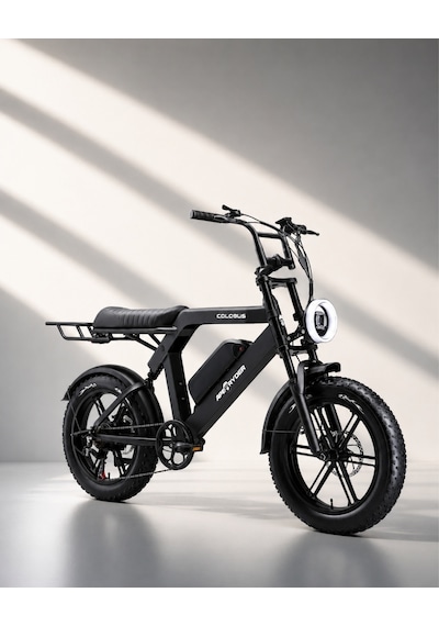 Ape Ryder Colobus Elektrikli Bisiklet 750w - Siyah