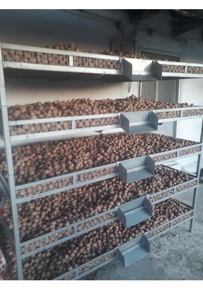 Ceviz Ve Meyve Kurutma Rafları 1 Adet Ölç.95X220X12Cm120Kg