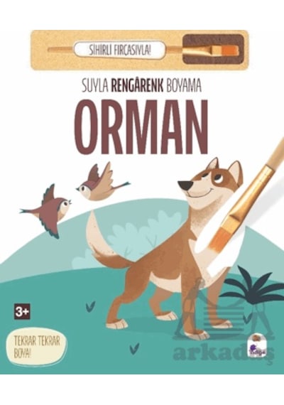 Suyla Rengarenk Boyama - Orman Sihirli Fırçasıyla İndigo Çocuk