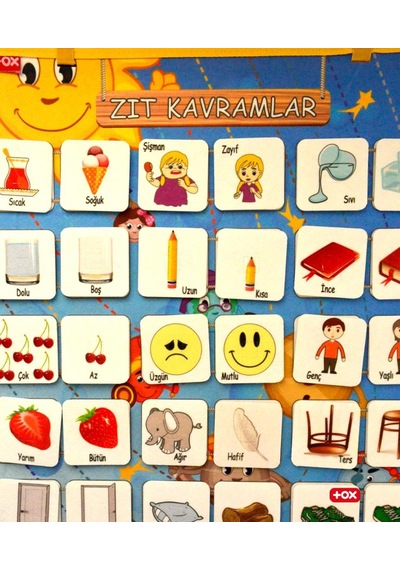 2 Set - 62 Parça Tox Iç Organlar ve Zıt Kavramlar Keçe Cırtlı Duv