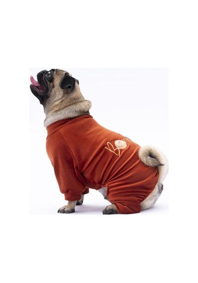 Kiremit Angers Köpek Tulumu Köpek Kıyafeti Kedi Kıyafeti