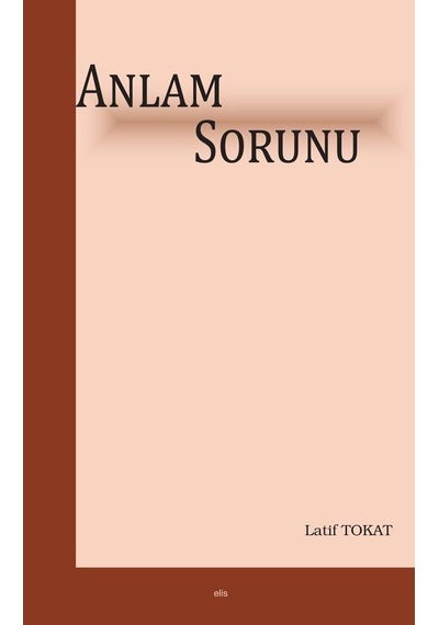 Anlam Sorunu N11.7295
