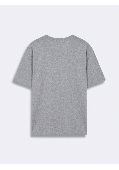LTB Baskılı Regular Gri T-shırt
