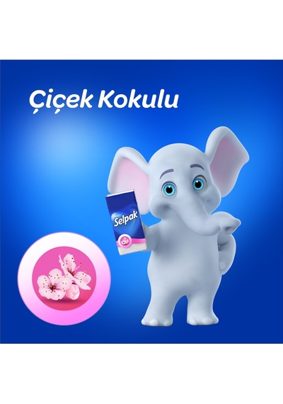 Selpak Çiçek Kokulu Mendil 100'lü 10 10