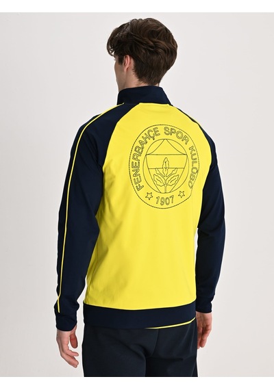 Fenerbahçe Sarı Tribün Nakış Logolu Erkek Oversize Sweatshirt Sari