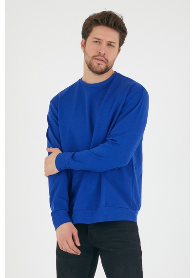 Erkek Bisiklet Yaka Regular Fit Sweatshirt Spr 20k30 001