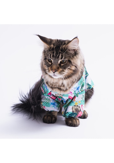 Pawstar Hawai Kedi Köpek Gömleği Kedi Köpek Kıyafeti
