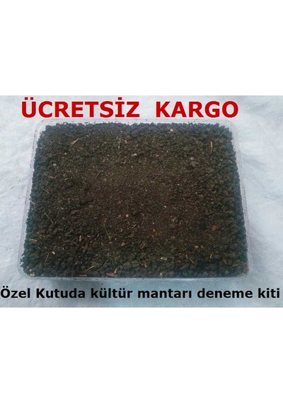 Özel Kutusunda KüLür Mantarı Tohumu Ekili Deneme Hobi Kiti N111869