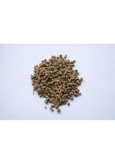 Pazı Tohumu 100 GR