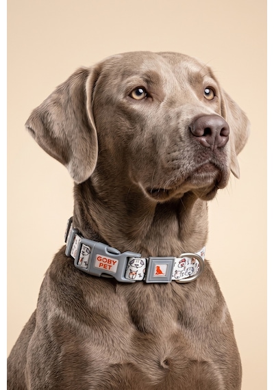 Köpekler İçin Dayanıklı Ve Güvenli, Desenli Boyun Tasması 25mm Gri