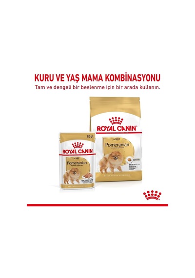 Royal Canin Köpek Mama Pomeranian Köpek Konserve 12x85 Gr