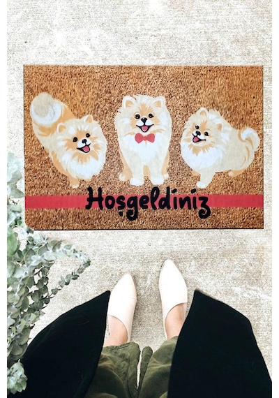 Pvc Pomeran  Iç Ve Dış Kapı Önü Paspasları