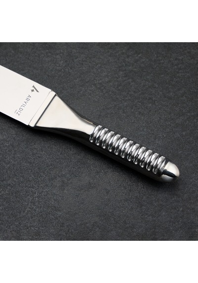 Aryıldız Durinox Pasta Paleti 25 Cm Renkli