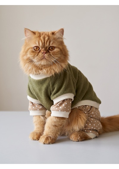 Latte & Matcha Kedi Rüyası Pamuklu Kedi Tulumu, Polar Sweatshirt Ve Mini Yastık 3 Parça
