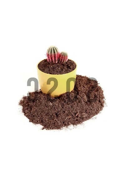 İthal Sphagnum Bitki Yetiştirme Torfu - Böcek Sinek Yapmaz Premium Kalite 5 Lt 0.75 LT - 2.5 LT - 12 KG İthal Sphagnum Bitki Yetiştirme Torfu - Böcek Sinek Yapmaz Premium Kalite 5 Lt 0.75 LT - 2.5 LT - 12 KG