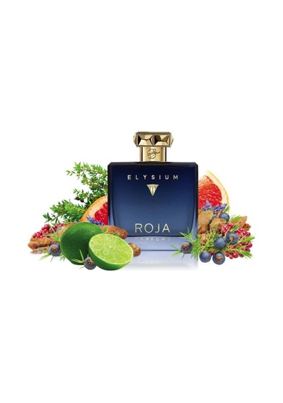 Roja Elysium Pour Homme Edp 100ml Diğer